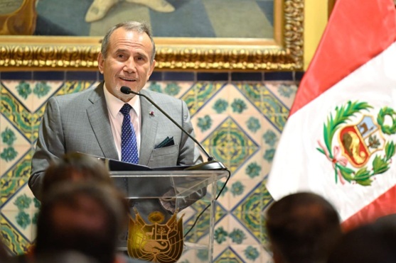 Canciller: “Hemos dado los pasos para institucionalizar proceso de adhesión a la OCDE”