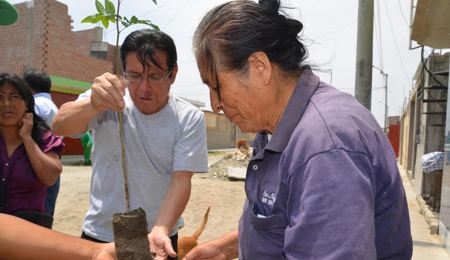 Día Internacional de los Bosques: comuna sureña promueve la arborización