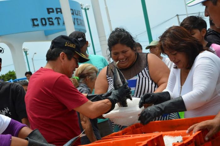Nuevo Chimbote: alcalde Gasco entrega 5 mil kilos de jurel y caballa