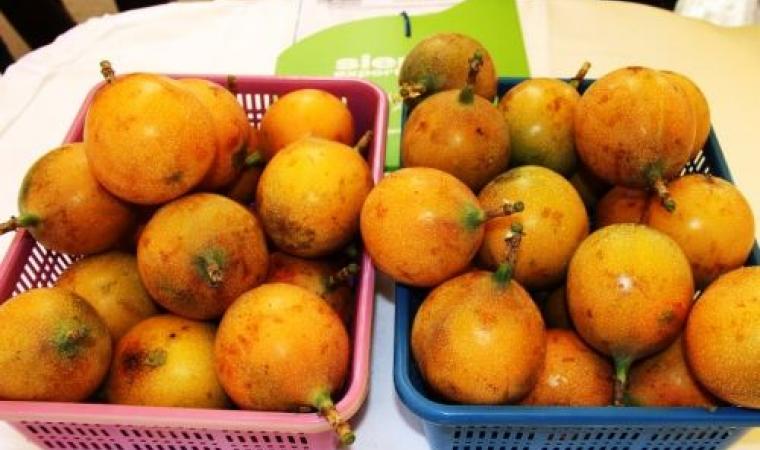 Granadilla: el gran alimento que ayuda a combatir el insomnio, ansiedad y otras enfermedades