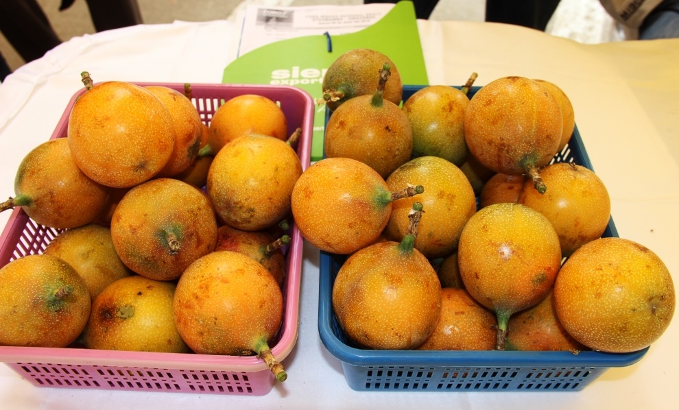  En el 2020 Perú ocupó el puesto 7 en el ranking de proveedores mundiales de frutos exóticos