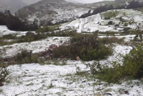Lluvias y granizada dañan 200 hectáreas de cultivo en la sierra de Áncash