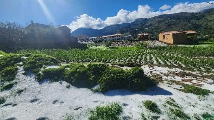 Áncash: más de 300 hectáreas de cultivos, colegios y un puesto de salud son afectados por granizadas y lluvias 