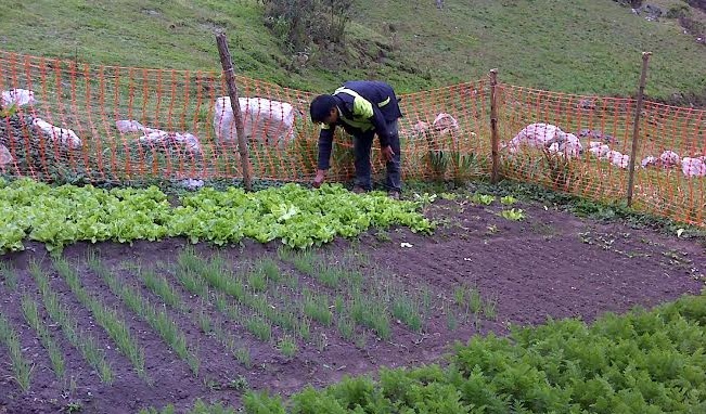 Foncodes financiará proyectos en poblados rurales de Áncash y otras regiones del país