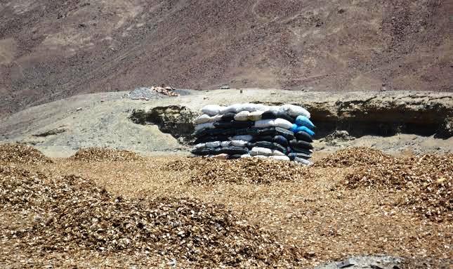 Fiscalía investiga exportaciones de harina súper prime procesadas en fábricas residuales