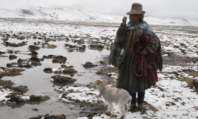 “Cáritas ante el frío”: Campaña a favor de los pueblos del altiplano peruano