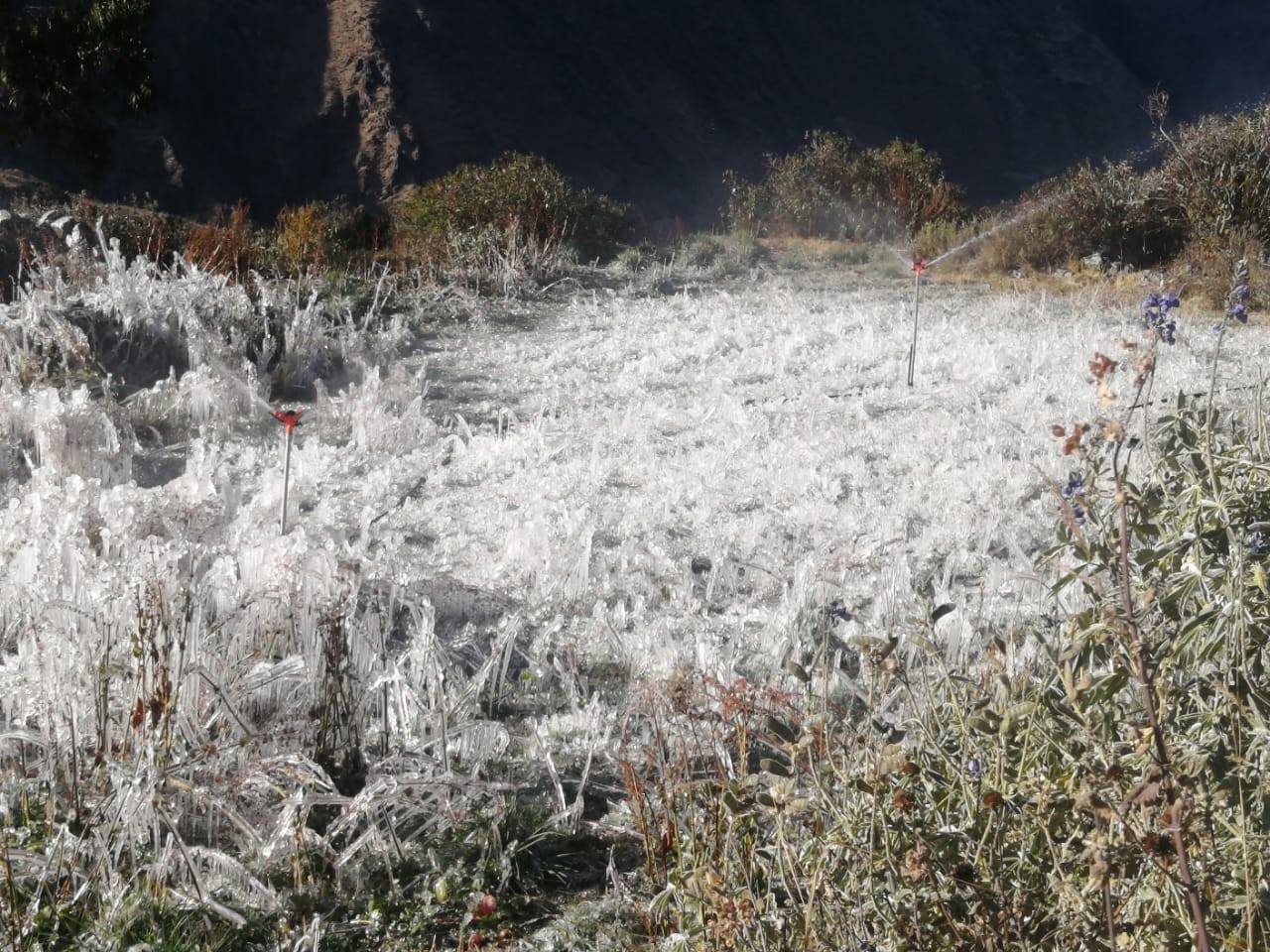 Continuará la presencia de heladas en la sierra de Áncash