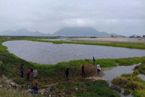 Conforman mesa técnica para recuperar Humedales de Villa María en Chimbote