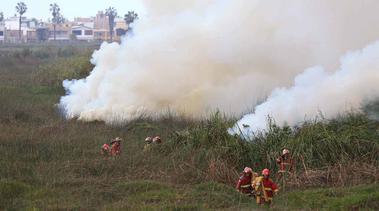 Chimbote: Hasta 5 mil incendios forestales registrados en la región Áncash