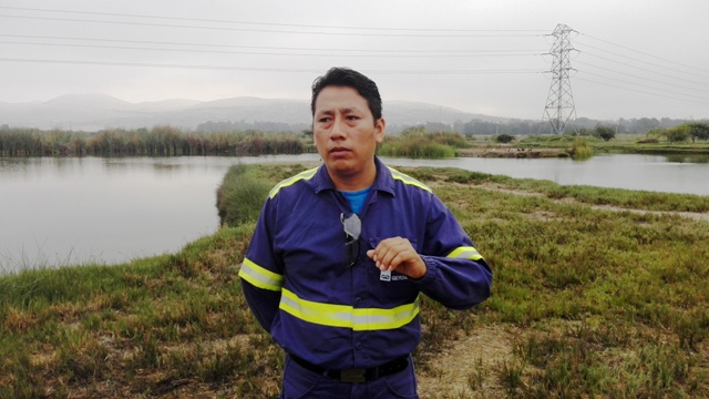 En el Día de la Tierra Siderperú mostró sus humedales que alberga a diversidad de aves