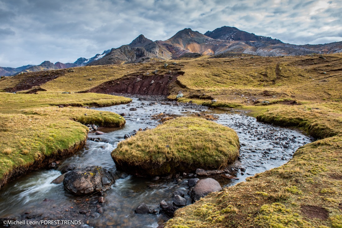 Gobierno aprueba decreto supremo en protección de humedales del país