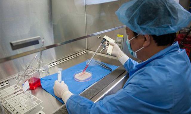 Se podrán realizar trasplantes con fosas nasales y vaginas fabricadas en laboratorio