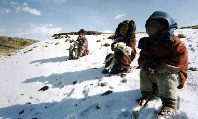 Suspenden clases en 43 provincias del país por intensas nevadas