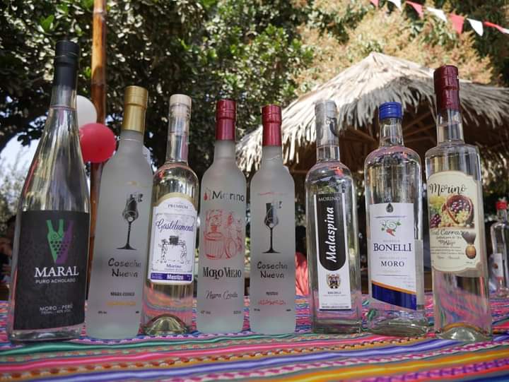 Moro realiza concurso del mejor destilado de uva por celebración de Fiestas Patrias 