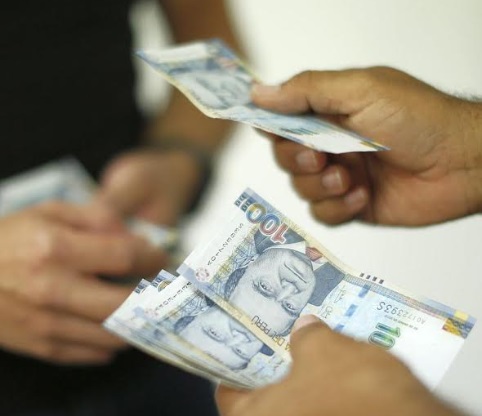 Exportación de arándanos sumó más de US$ 343 millones hasta agosto