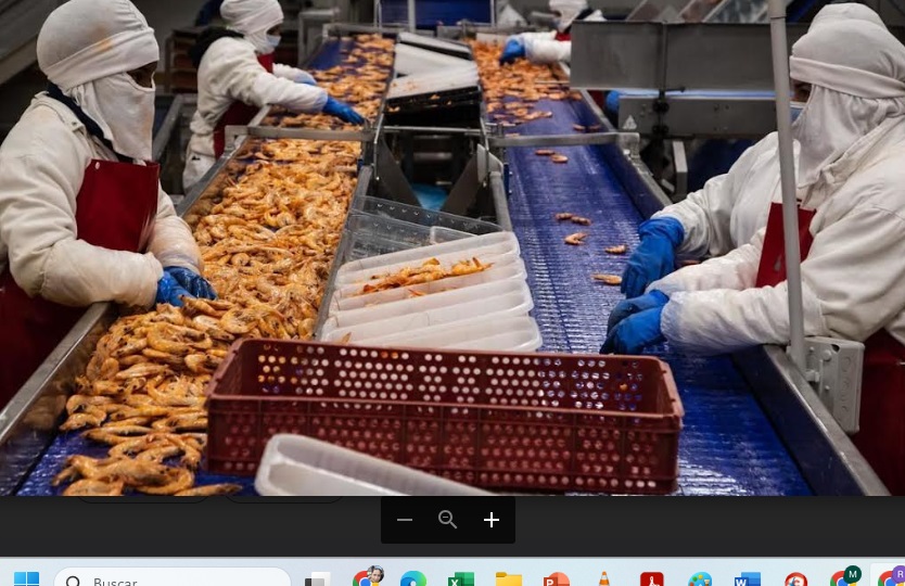 Se registraron 7 mil 504 empresas exportadoras entre enero y septiembre del 2023