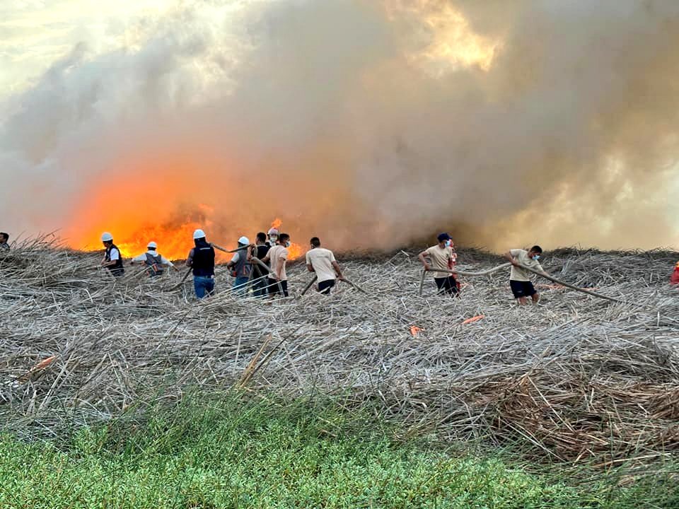 Chimbote: controlan incendio forestal en humedales después de casi tres días de ardua labor