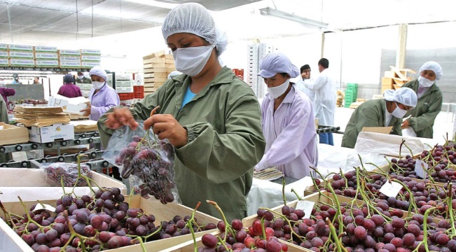 Agroexportaciones peruanas buscan  seguir la senda del crecimiento