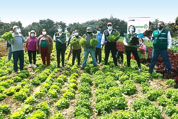 Áncash: más de 3 mil agricultores se beneficiarán con el represamiento de lagunas en Jimbe y Pamparomás 