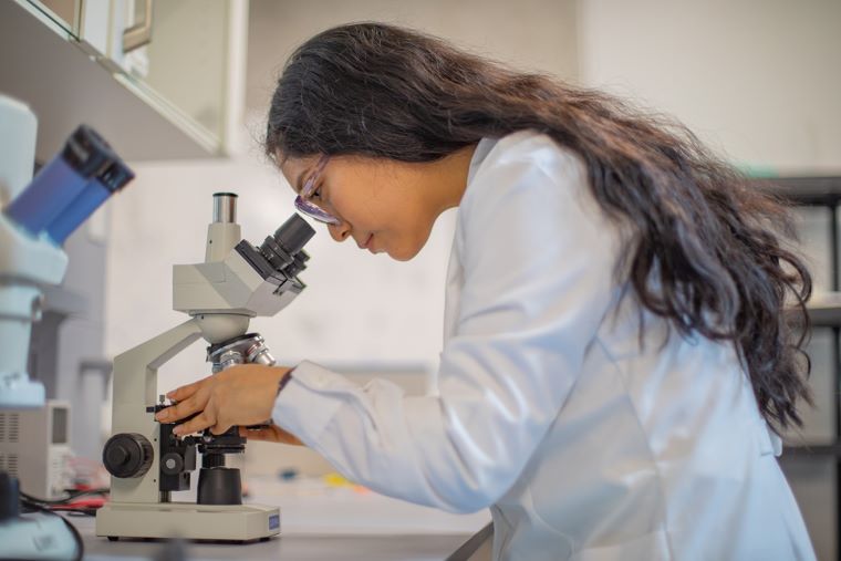 Georgia ofrece beca para estudiantes y jóvenes profesionales: aquí los requisitos