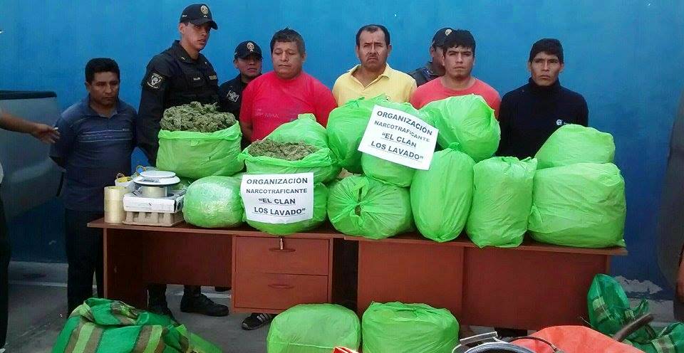 Incautan más de 100  kilos de marihuana en “Pampa Pietro” de Chinecas
