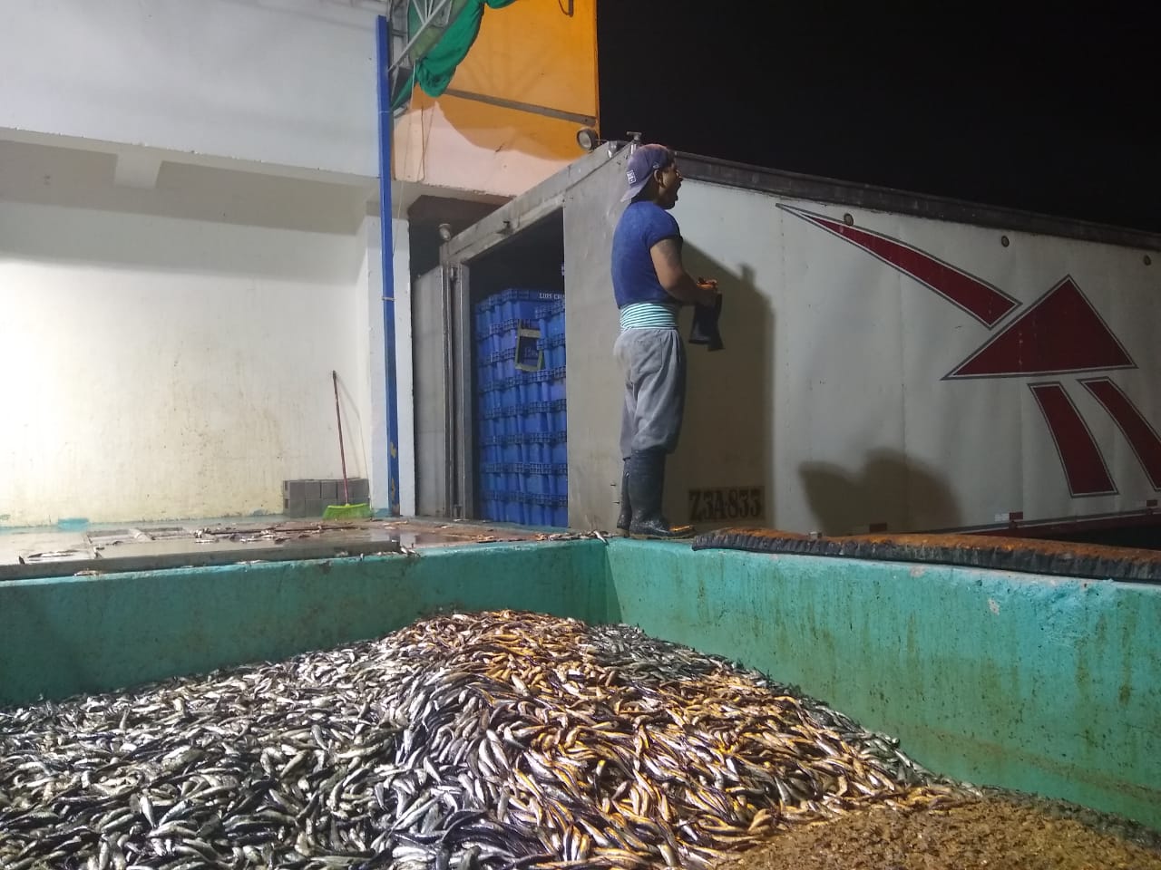 Chimbote: intervienen cámaras con anchoveta presuntamente en mal estado