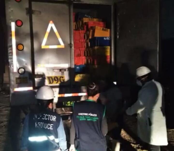 Fiscalía de Medio Ambiente incauta 35 mil kilos de caballa en estado juvenil