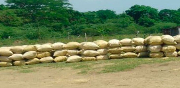 Incautan 28 sacos de arroz con peso adulterado en una parcela del poblado de Cambio Puente