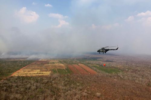 Extinguen 6 incendios forestales en Áncash, Apurímac, Arequipa y Ayacucho