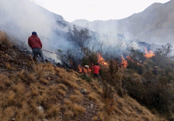 Áncash: Reportan incendios forestales en distritos de Independencia, Pira y San Marcos