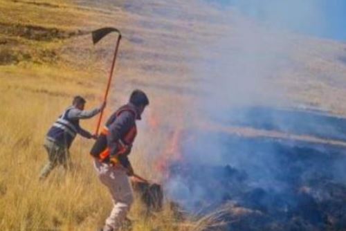 Cusco, Áncash y Ucayali entre las regiones más afectadas por 475 incendios forestales 