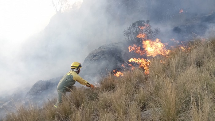Áncash: guardaparques forestales del Sernanp controlan incendio forestal en Huascarán