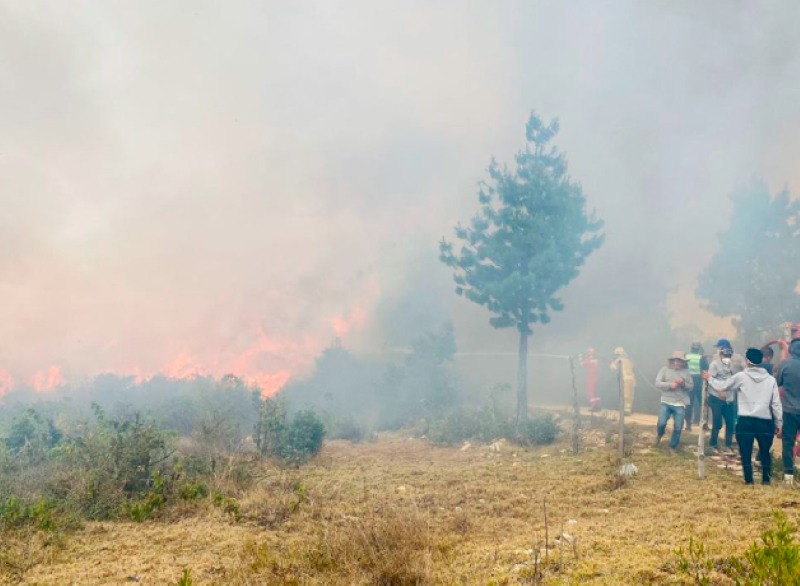 ¡El Perú arde! Incendios forestales desatan crisis en el país
