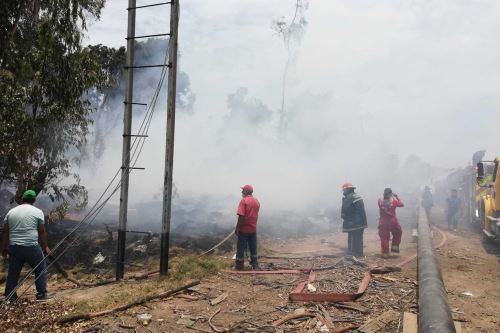 Informan de reinicio del fuego en vivero forestal de Chimbote