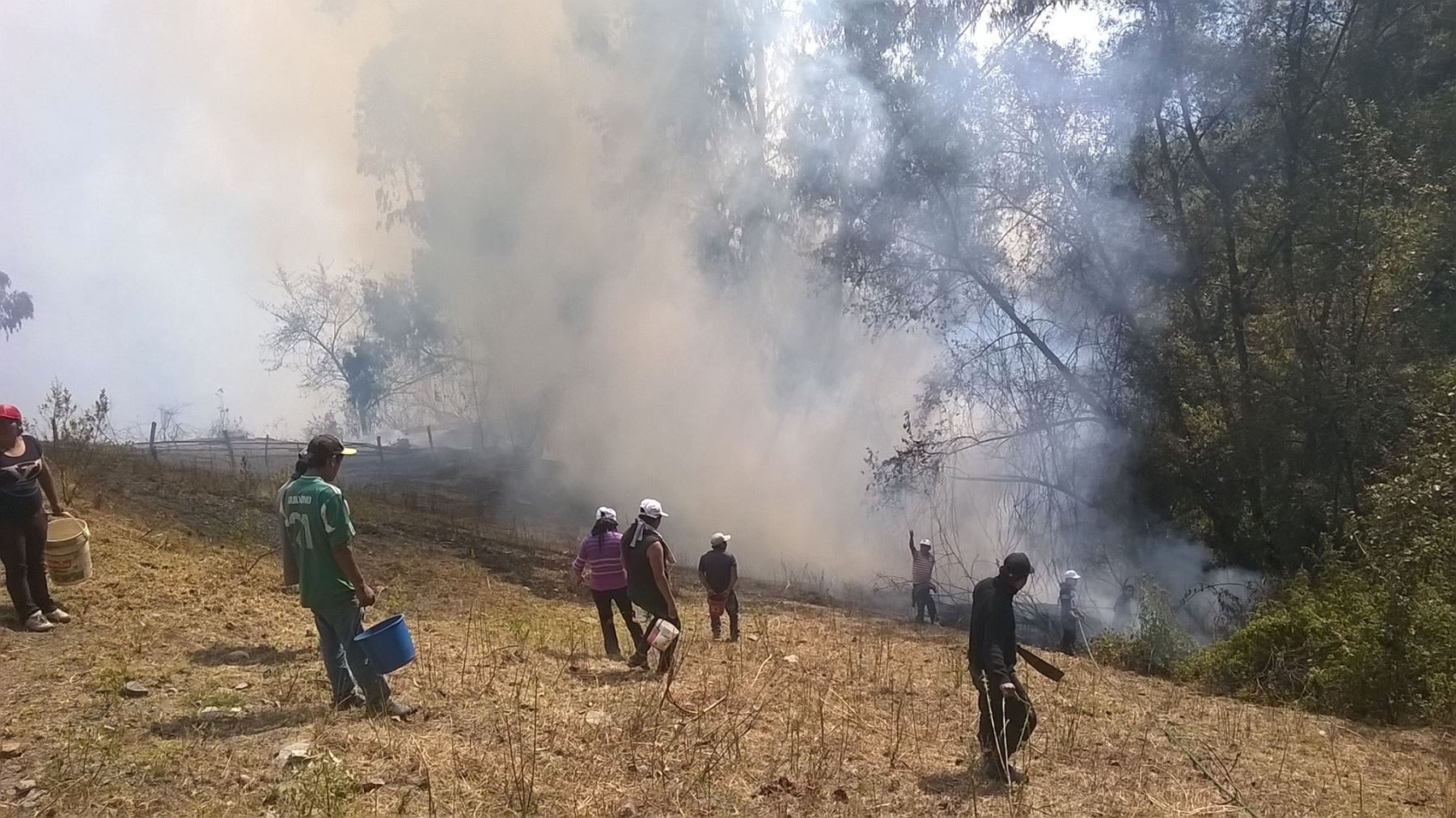 Áncash: incendio forestal dejó en cenizas cerca de 3 mil hectáreas de pastizales 