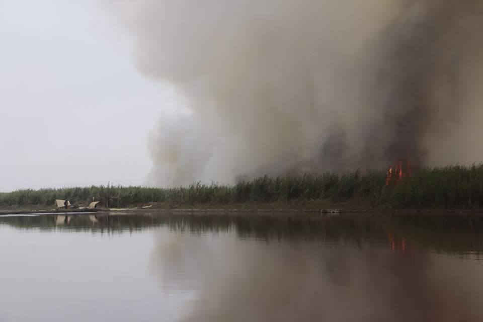 Chimbote: Incendio en totorales de “El Dorado” genera contaminación y pone en alerta a autoridades