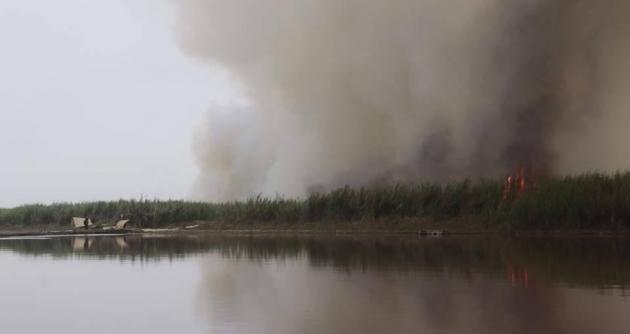 Chimbote: Fiscalía Medioambiental investiga incendio en humedales de Villa María 