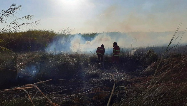 Un nuevo incendio forestal se produjo en "Los humedales de Villa María"