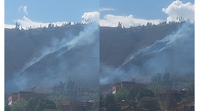  Áncash: reportan incendio voraz forestal en el distrito de Mancos, en Yungay