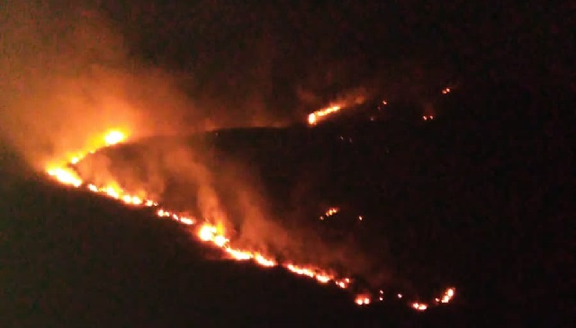 COER Áncash reporta incendio forestal en Chacas cerca del Parque Nacional Huascarán