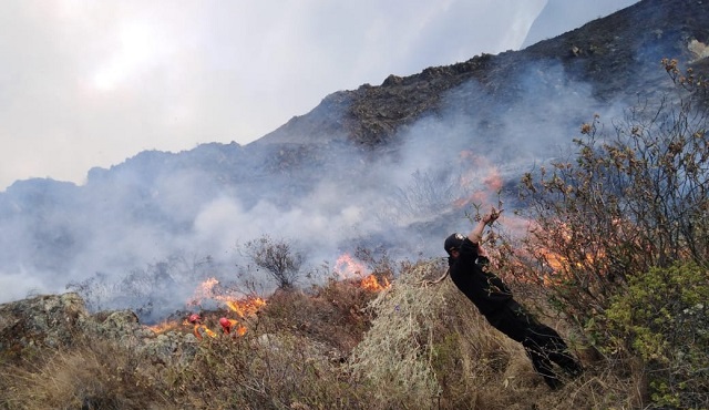 Áncash: incendio forestal en Pira afectó 20 hectáreas de pastos naturales