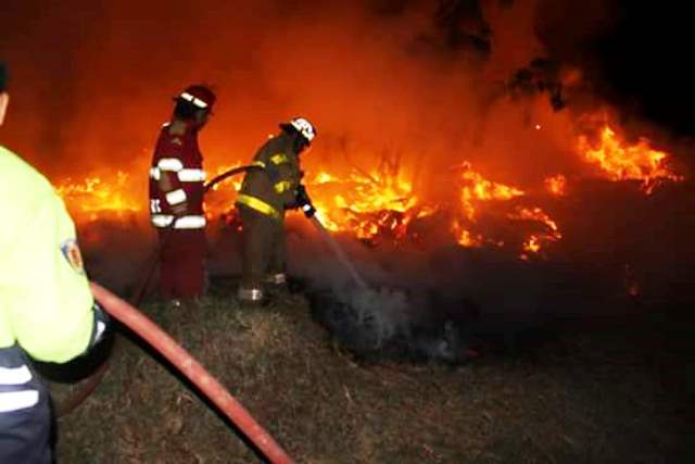 Incendio se produjo al interior de Vivero Forestal de Chimbote