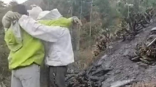 Incendio forestal destruye 63 colmenas con más de un millón de abejas en Caraz