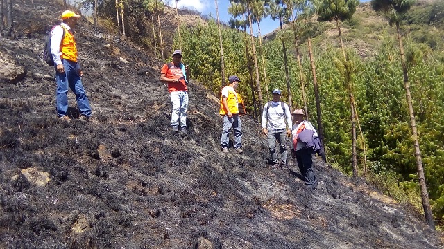 Incendio forestal afecta más de 10 hectáreas de pastos en la provincia Carlos Fermín Fitzcarrald en Áncash