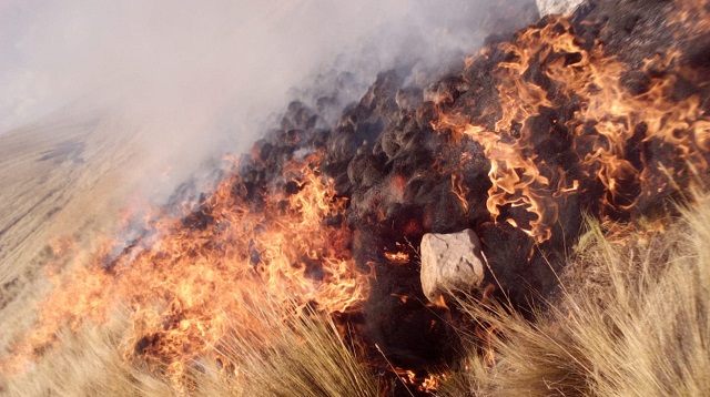 Áncash: incendio forestal arrasó con 30 hectáreas de pastos naturales en Cátac 
