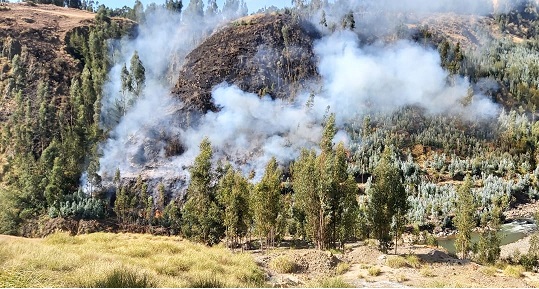 Ocho incendios forestales y dos urbanos se registraron en Áncash en las últimas 72 horas