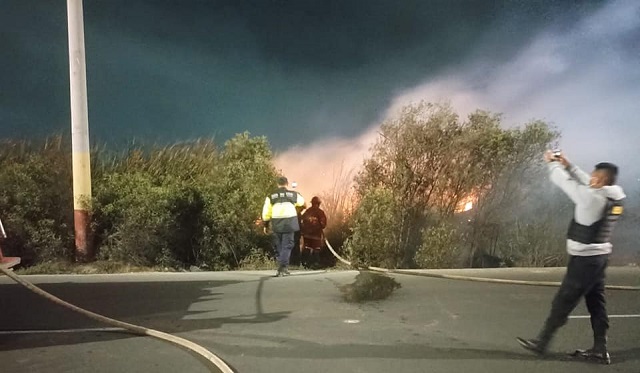 Reportan incendio forestal en los humedales cerca del río Lacramarca en Chimbote