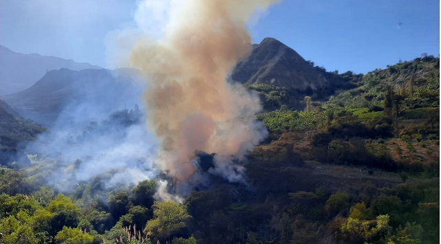 Áncash: incendio forestal afectó bosques y pastos naturales en distrito de Macate