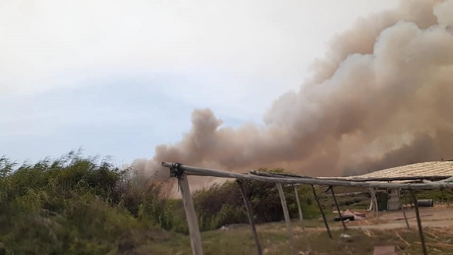 Otro dantesco incendio forestal fue provocado en los Humedales de Villa María en Nuevo Chimbote