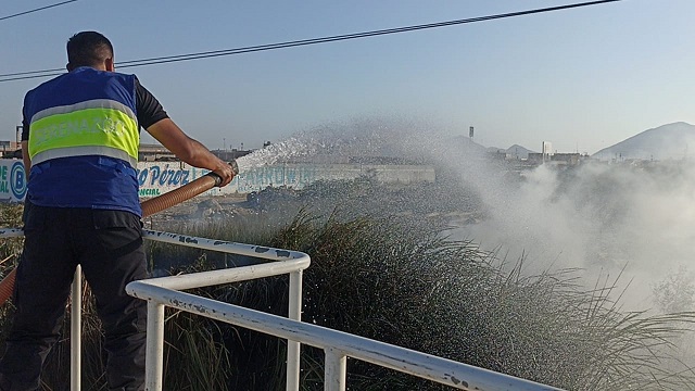 Inescrupulosos vuelven a ocasionar incendio forestal en humedales de Nuevo Chimbote